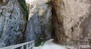 Cheile-Bistritei