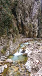 Cheile_Bistritei-13